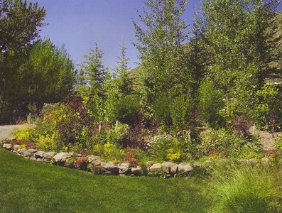 gallery/medium/202 (35)-Landscape-Ketchum-Idaho.jpg